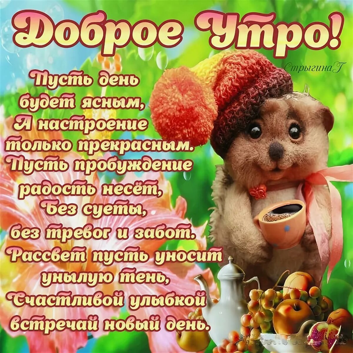 Удачного дня