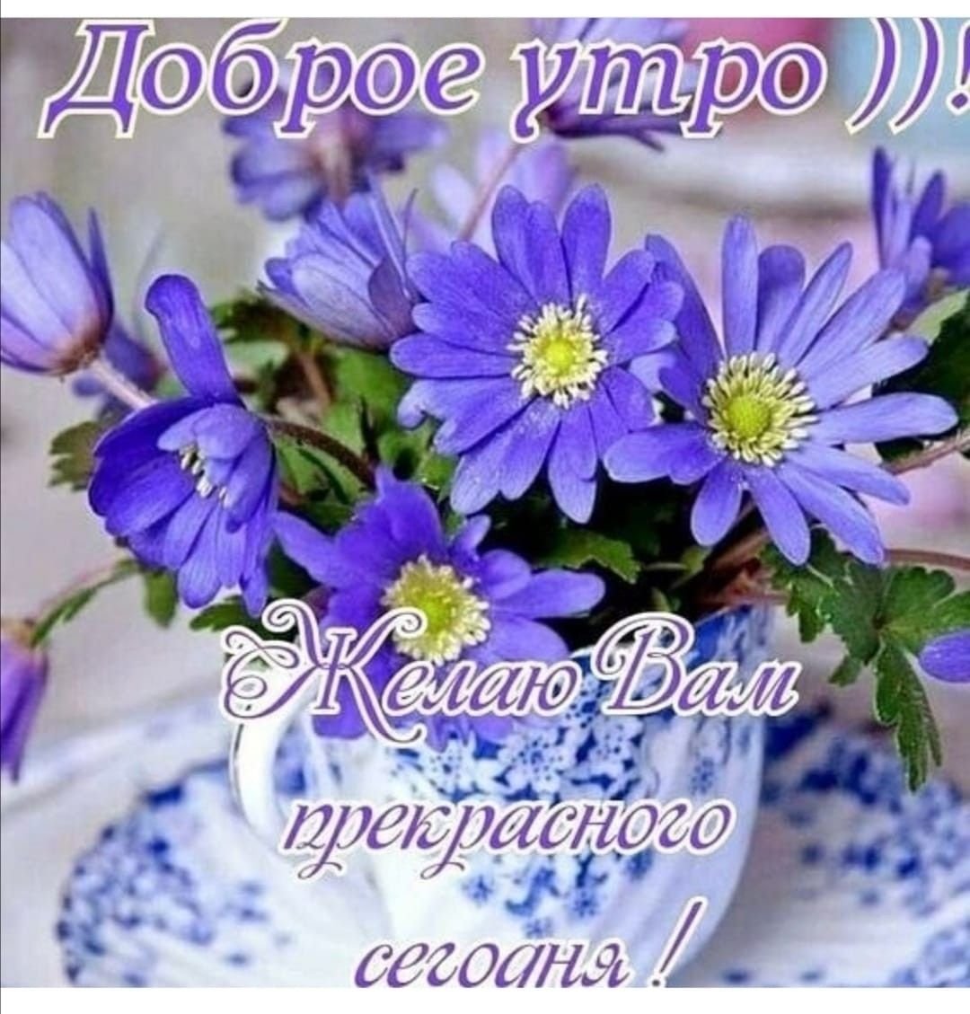 Доброе утро мира и добра