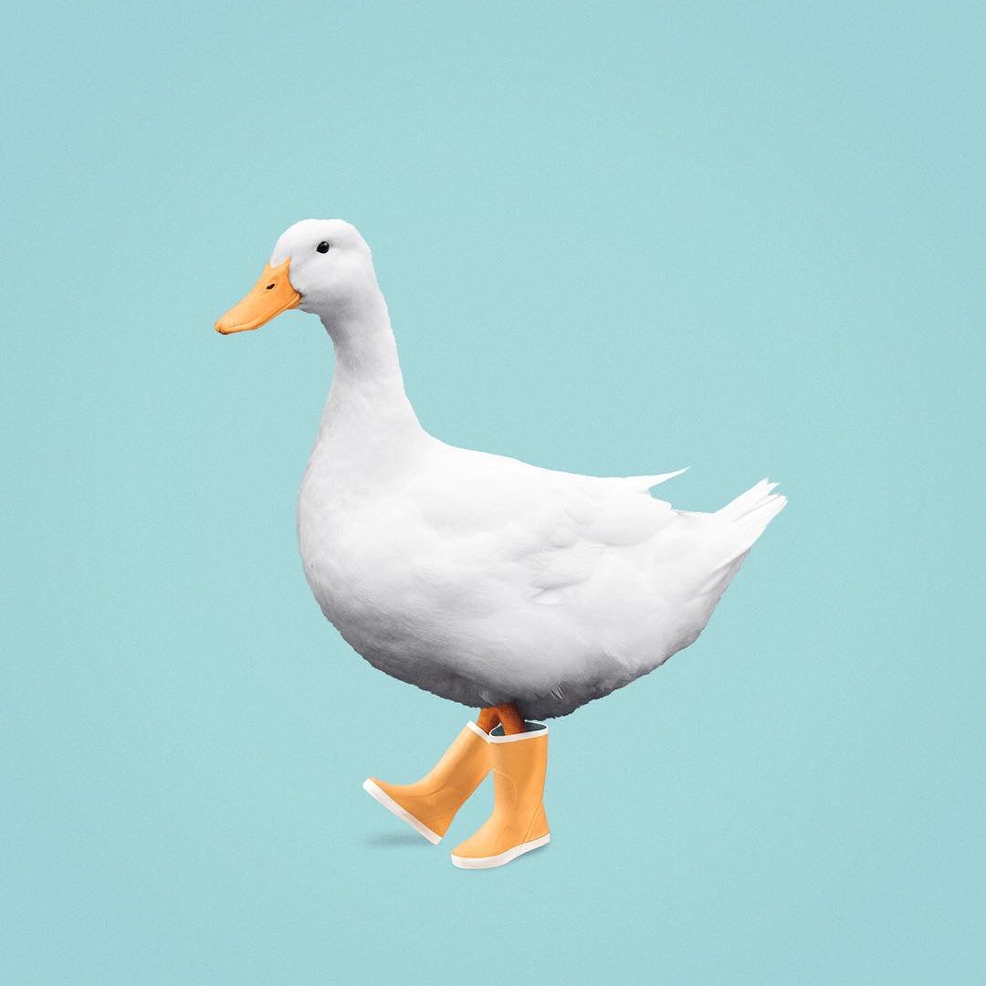 Принт розовый Гусь