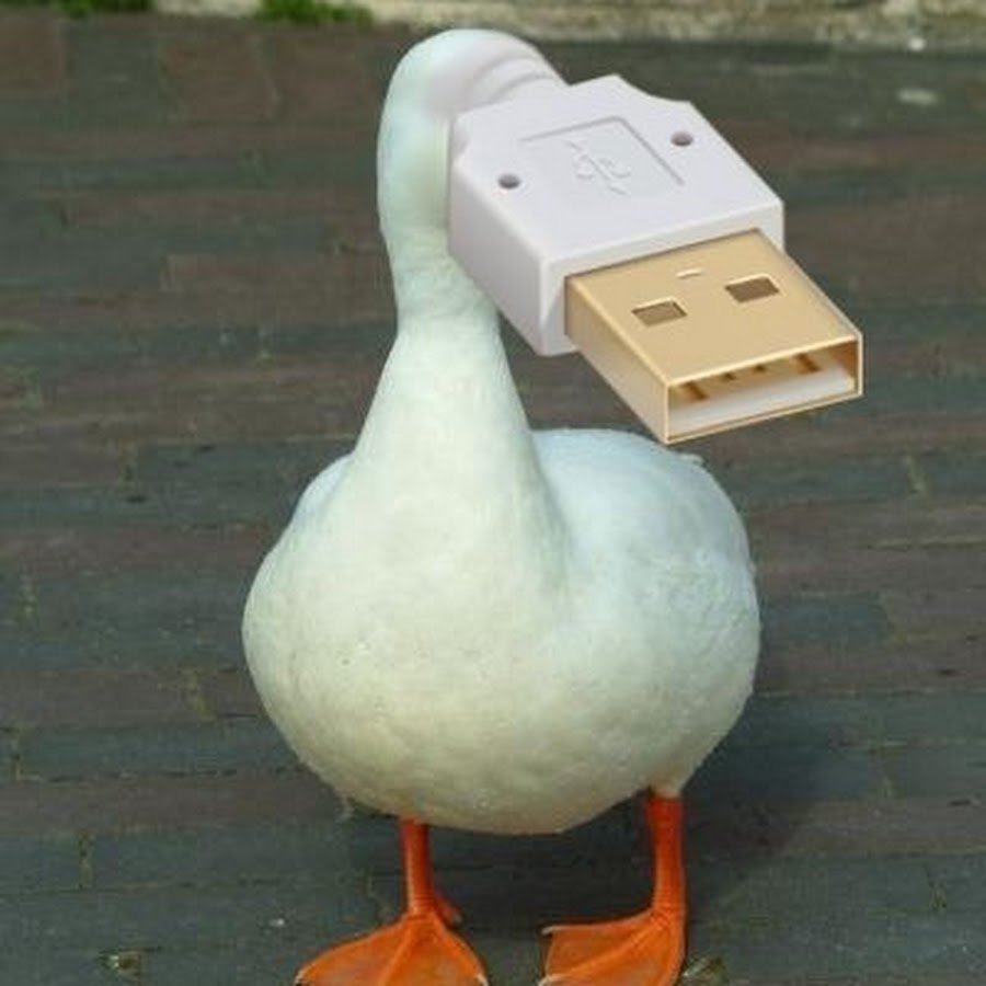 Гусь нарисованный смешной