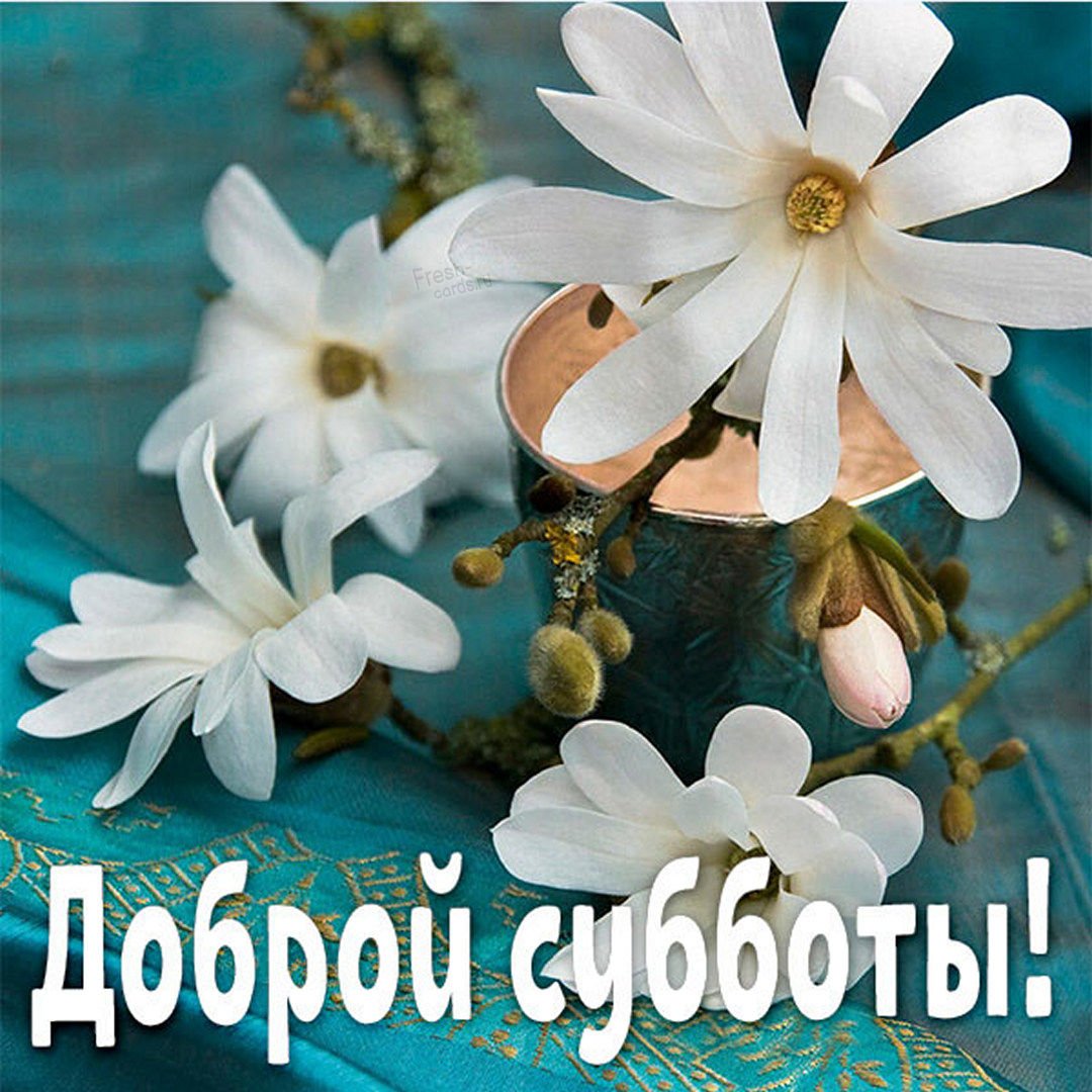 Открытки мир вашему дому