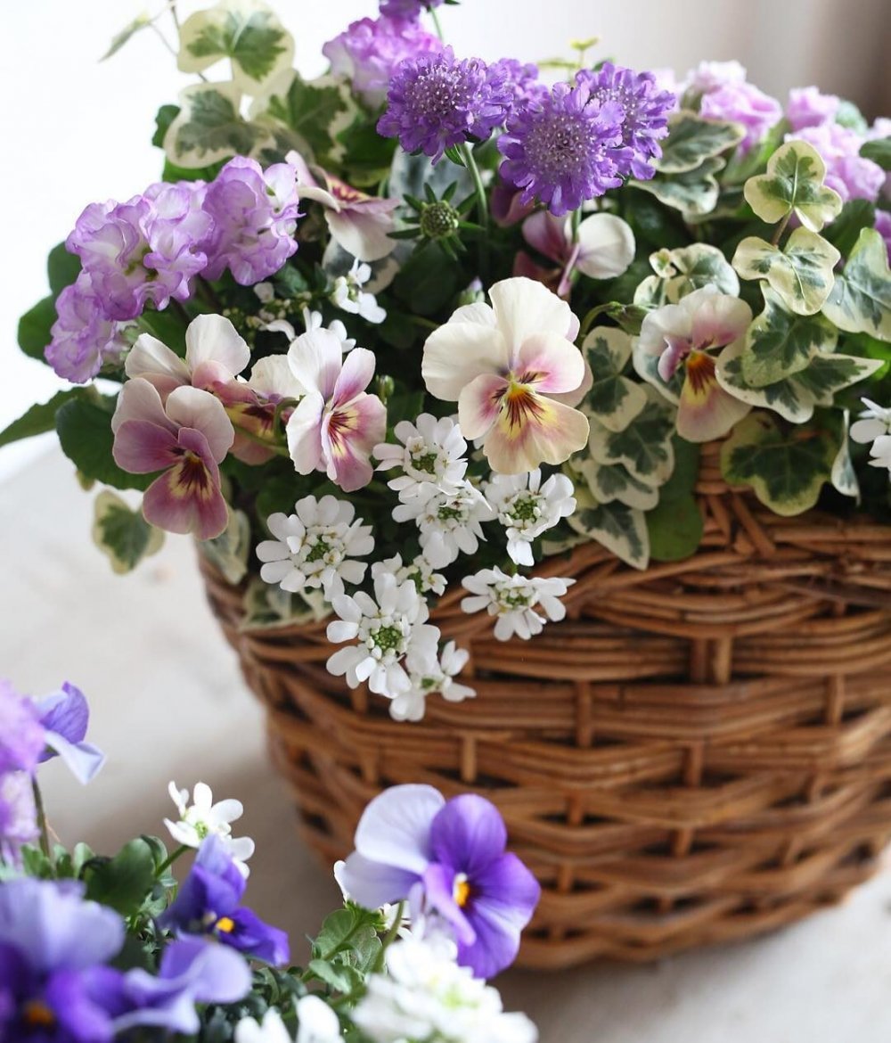 Тепла и цветов