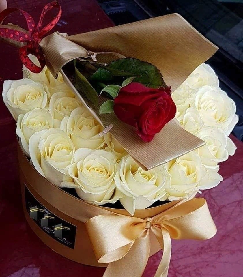 Счастья и уюта вашему дому