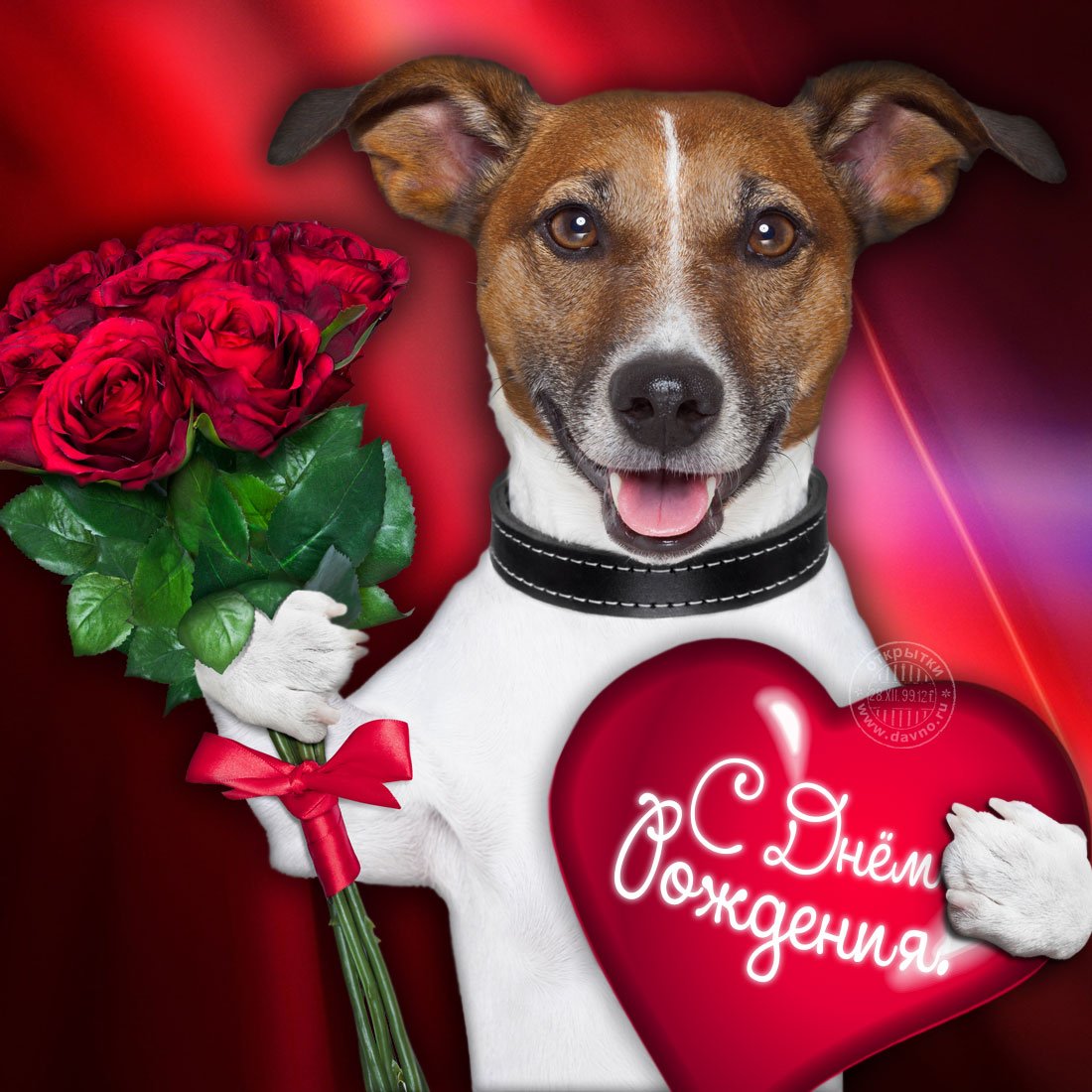 С днём рождения Миша