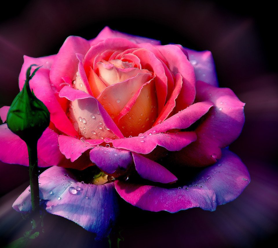 Благословенного дня