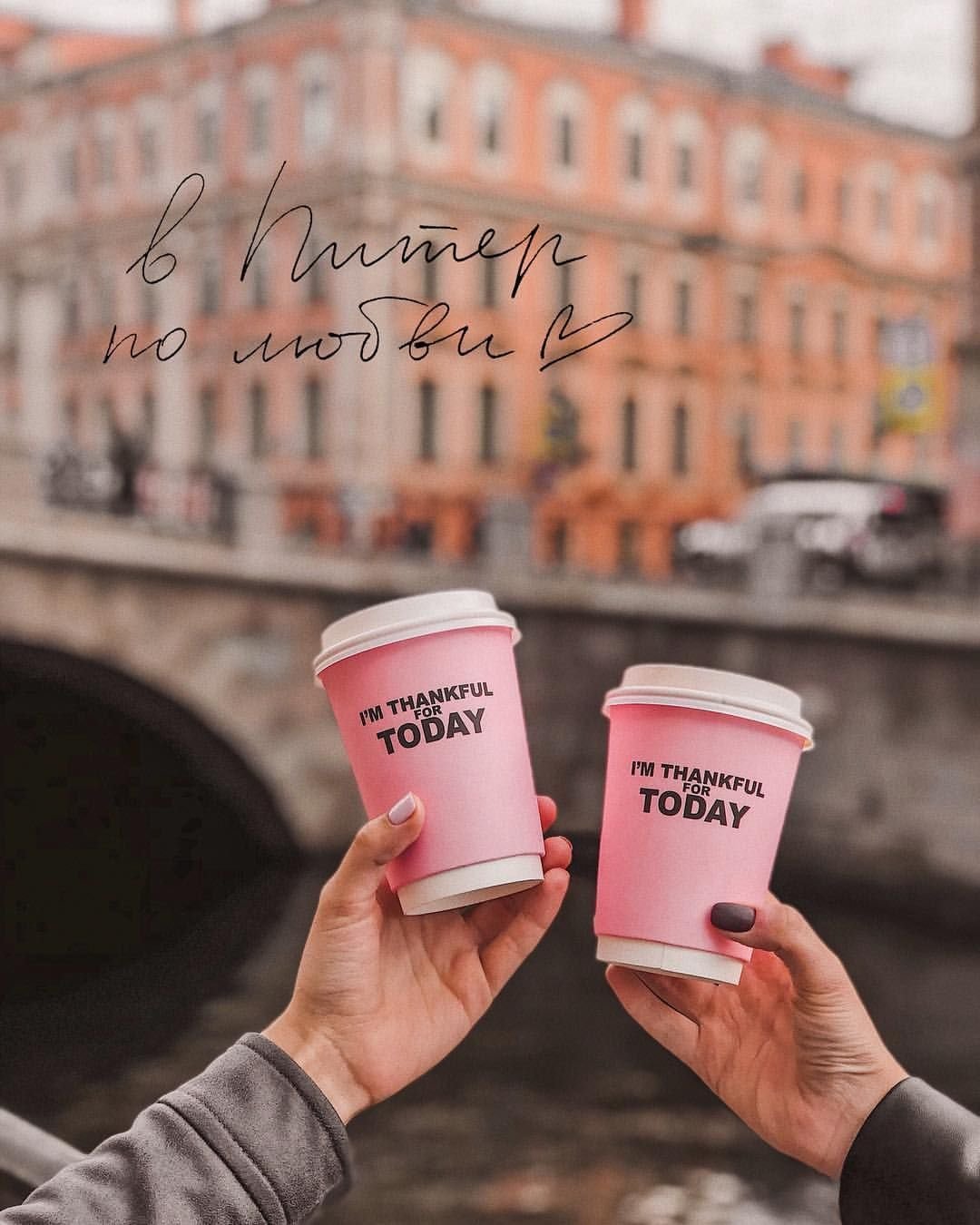 Елена Романова художник Санкт-Петербург коты