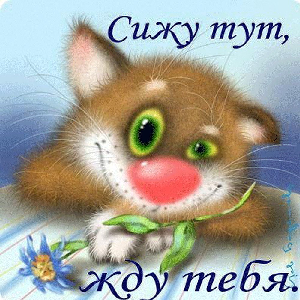 Веселые открытки