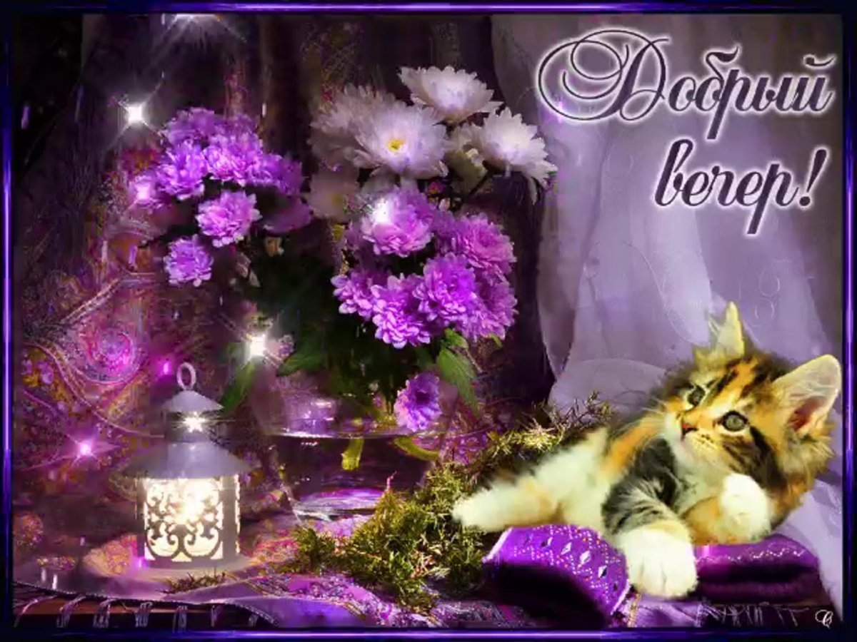 Открытки добрый вечер