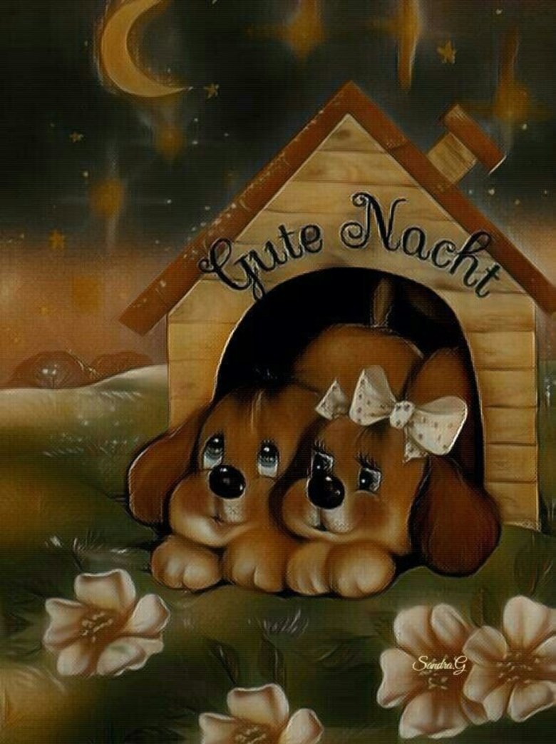 Спокойной ночи картинки прикольные