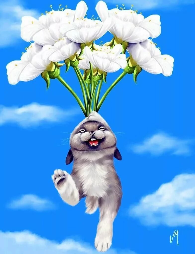 Цветы для поднятия настроения