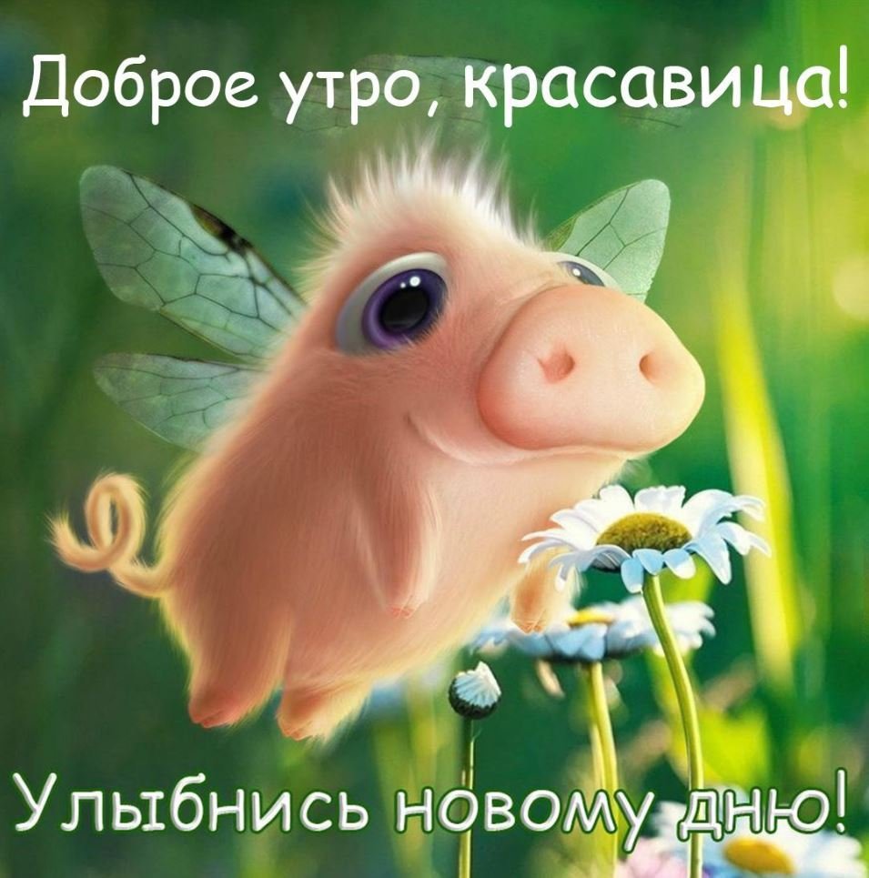 Пожелания с добрым утром прикольные
