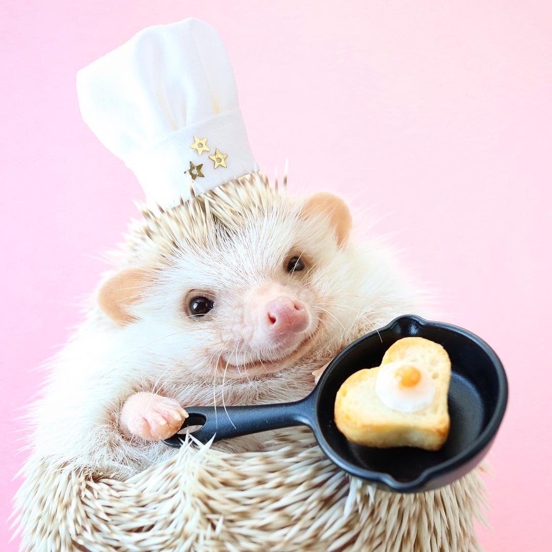 Природа и животные