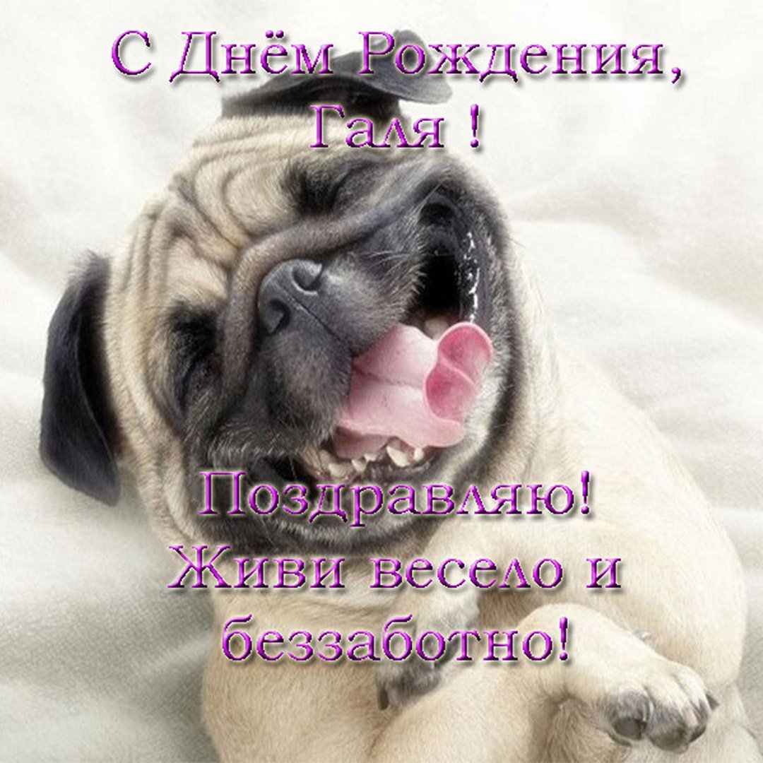 Зиночка с днем рождения