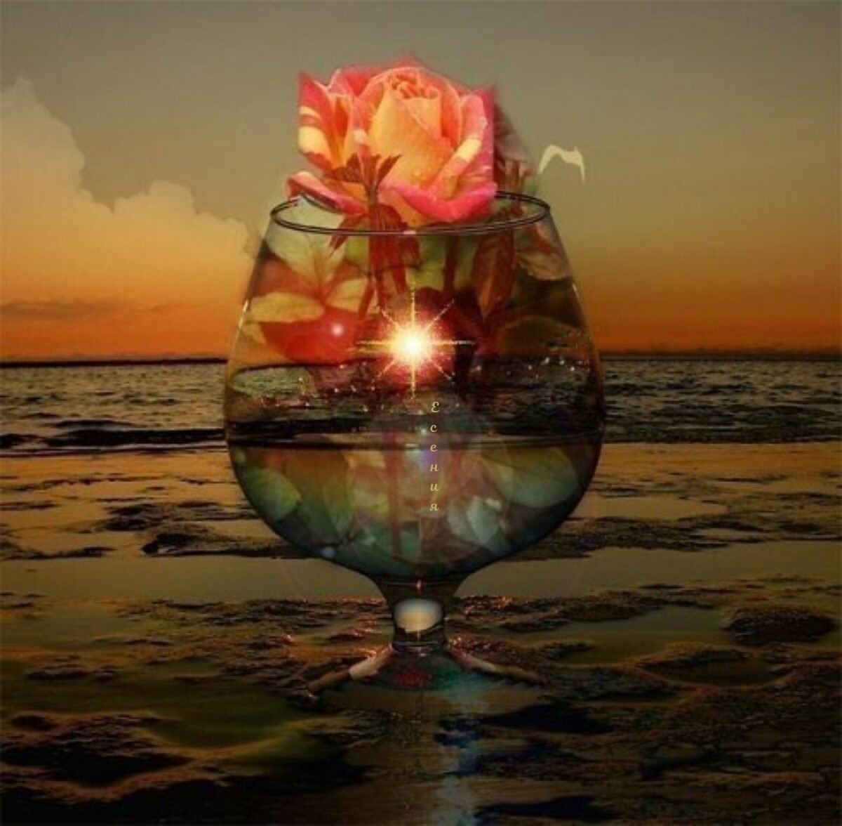 Чудесного вечера у моря