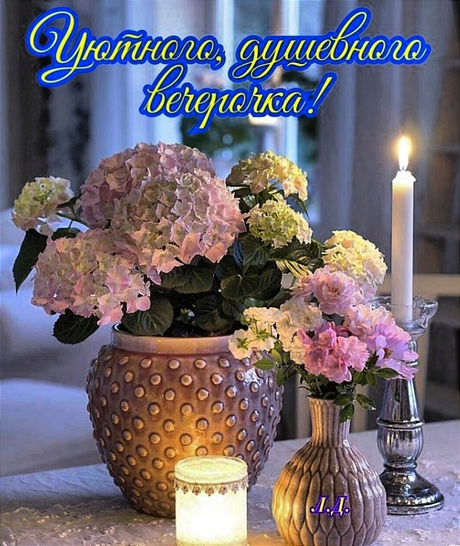 Хороший вечер