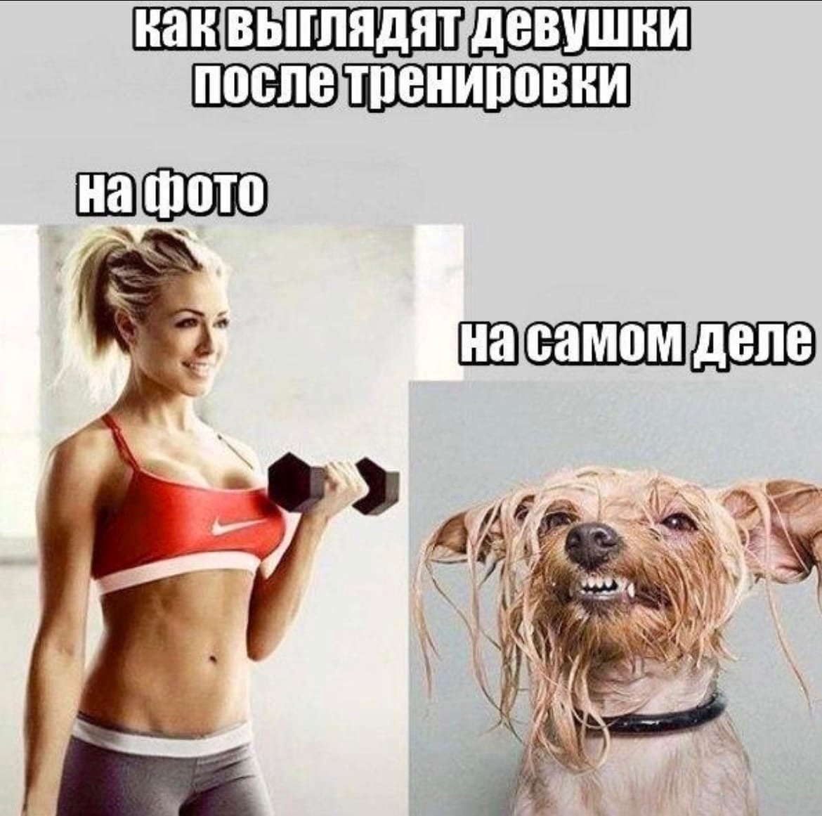 Цитаты про тренировки