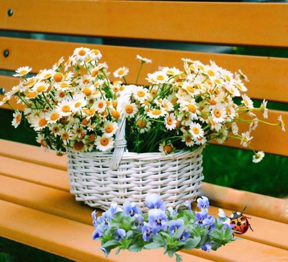 Православные приветствия на каждый