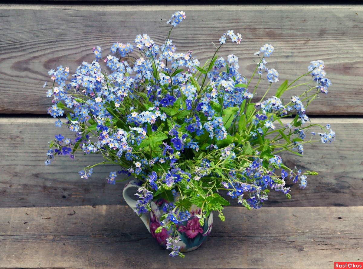 Доброе утро незабудки