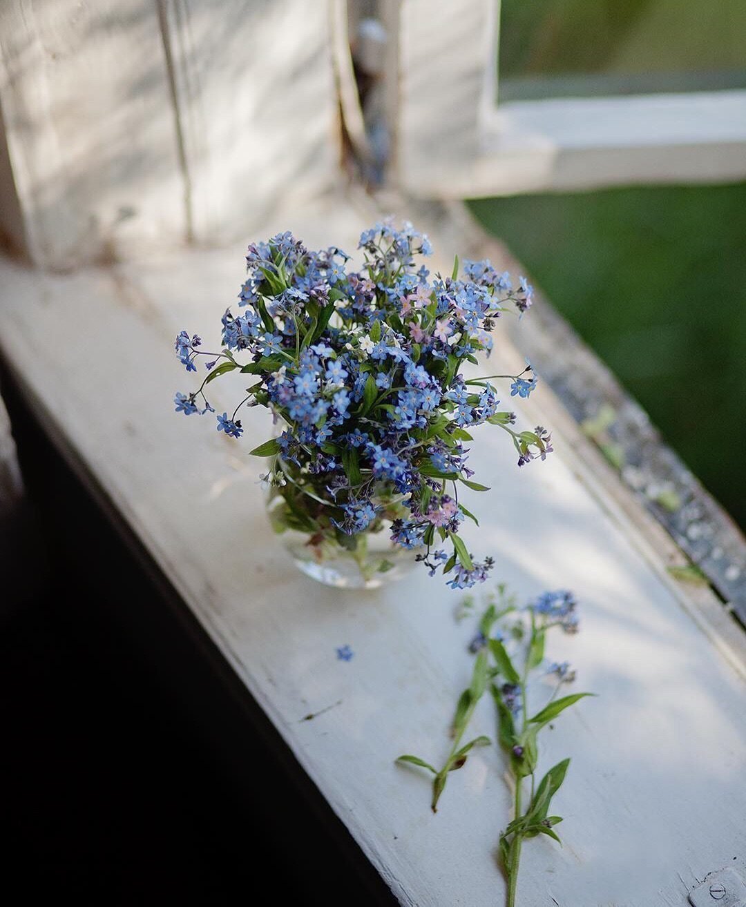Незабудки в вазочке