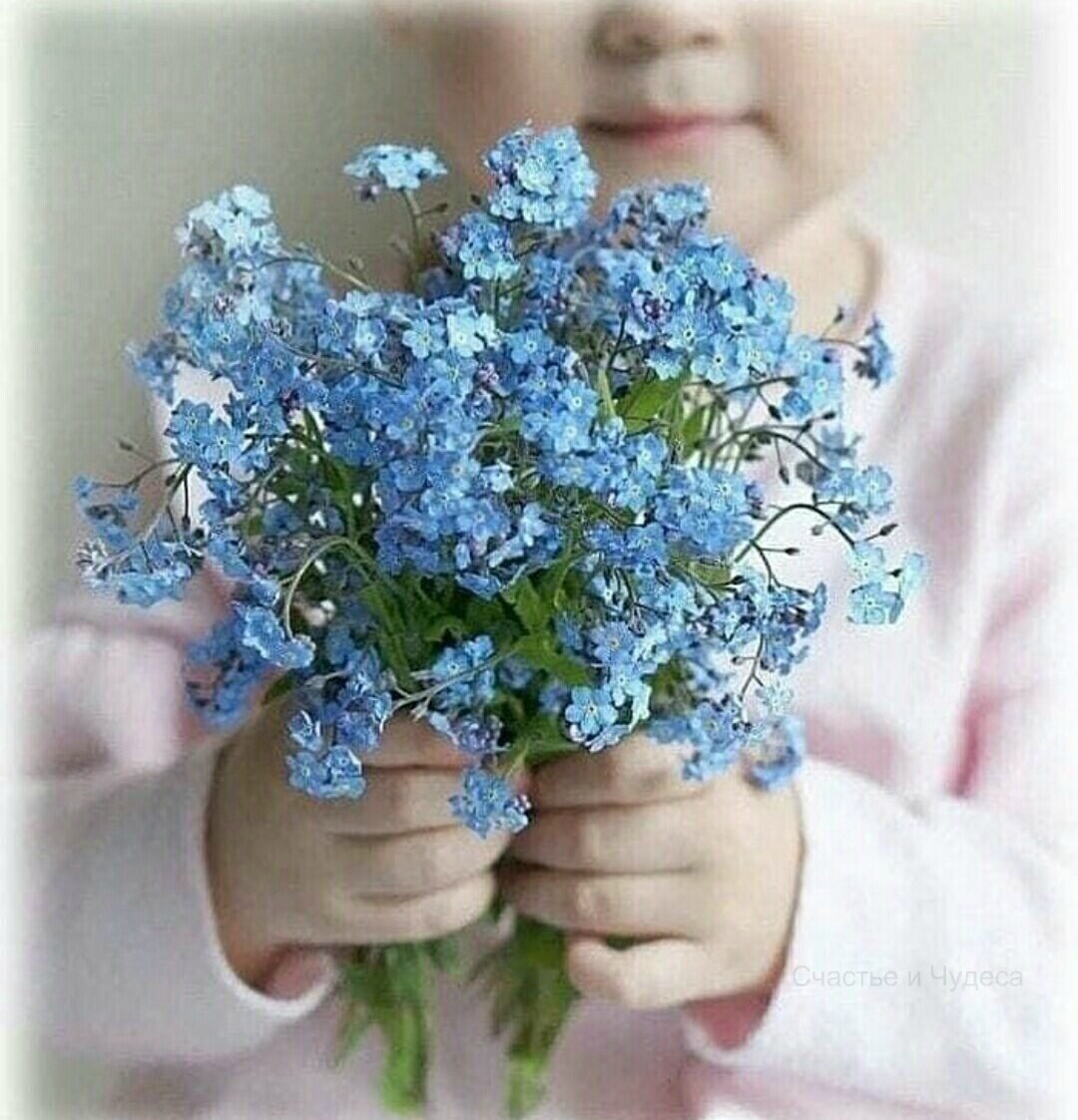 Таша Незабудка Салоники