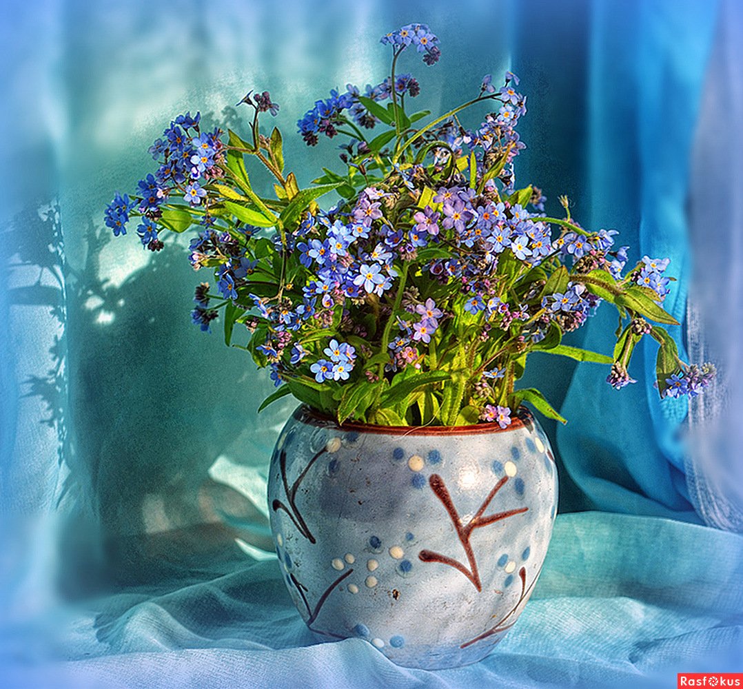 Незабудки в вазе