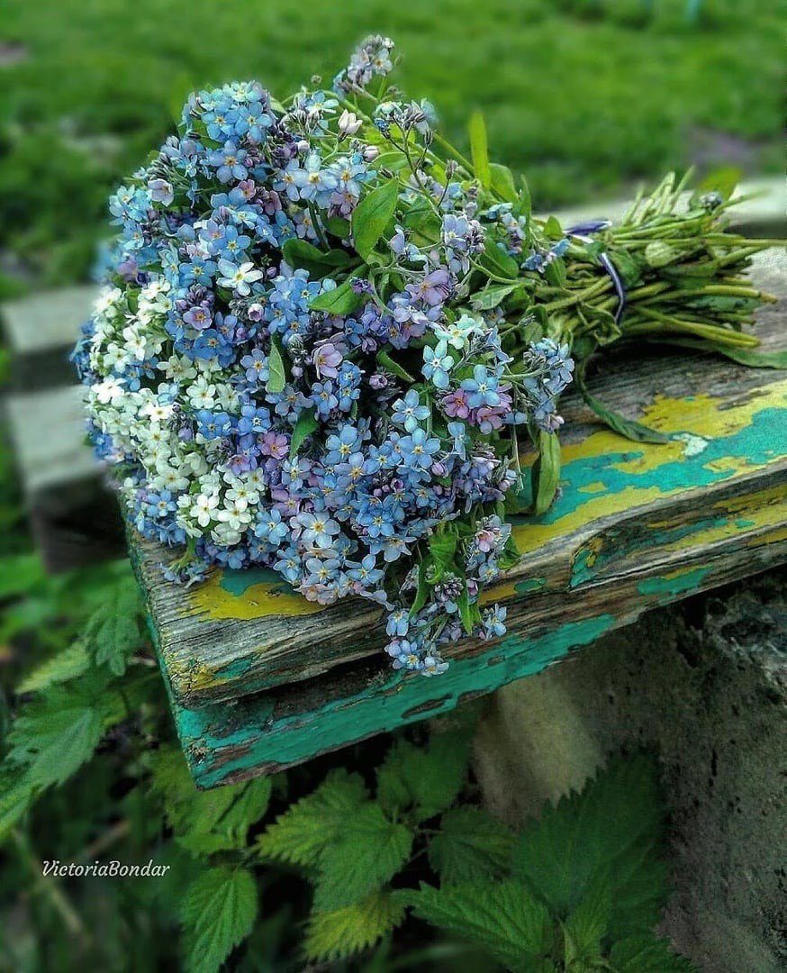 Незабудки в вазе