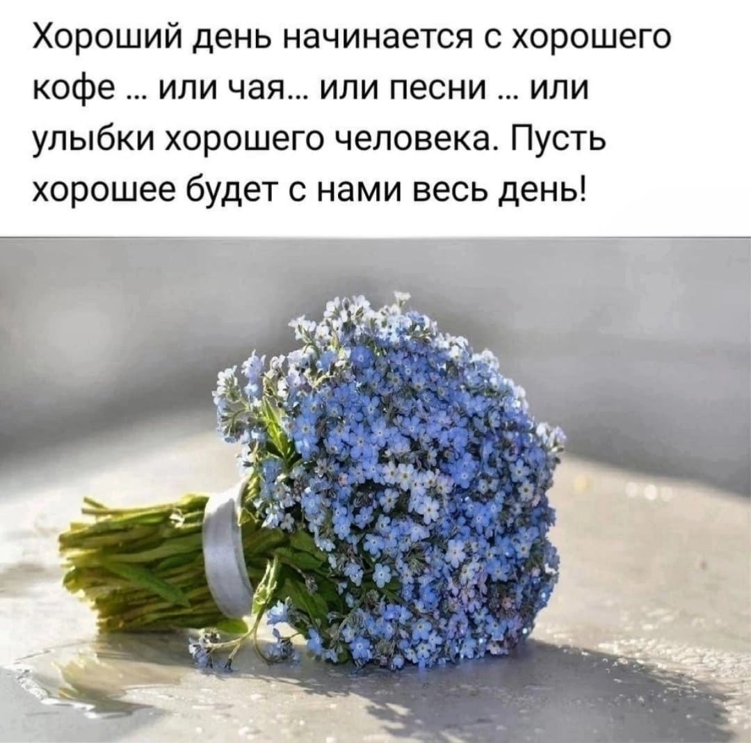 Букет цветов незабудки