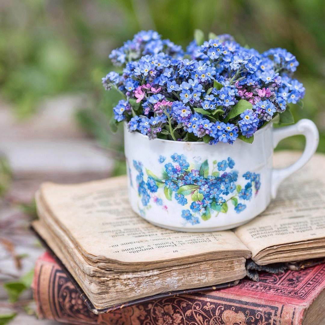 Свежие весенние цветы