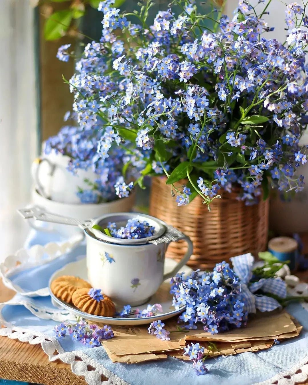 Незабудки Эстетика