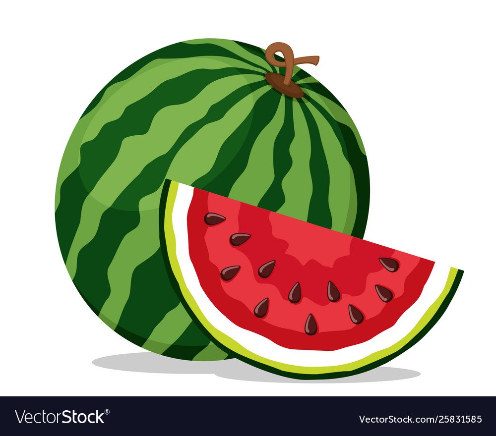 Арбуз арт на белом фоне