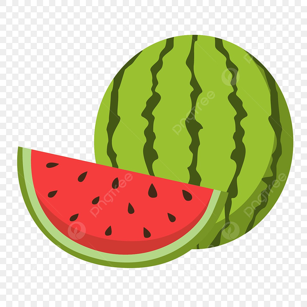 Арбуз вектор