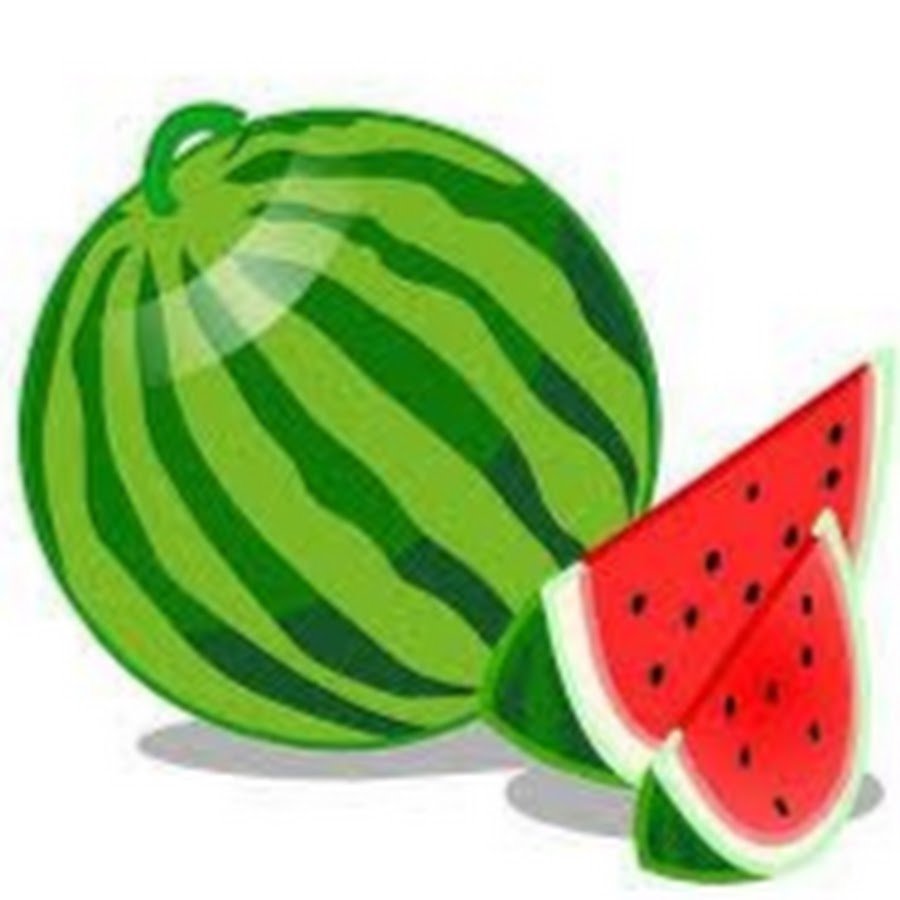 Арбуз на белом фоне 2d