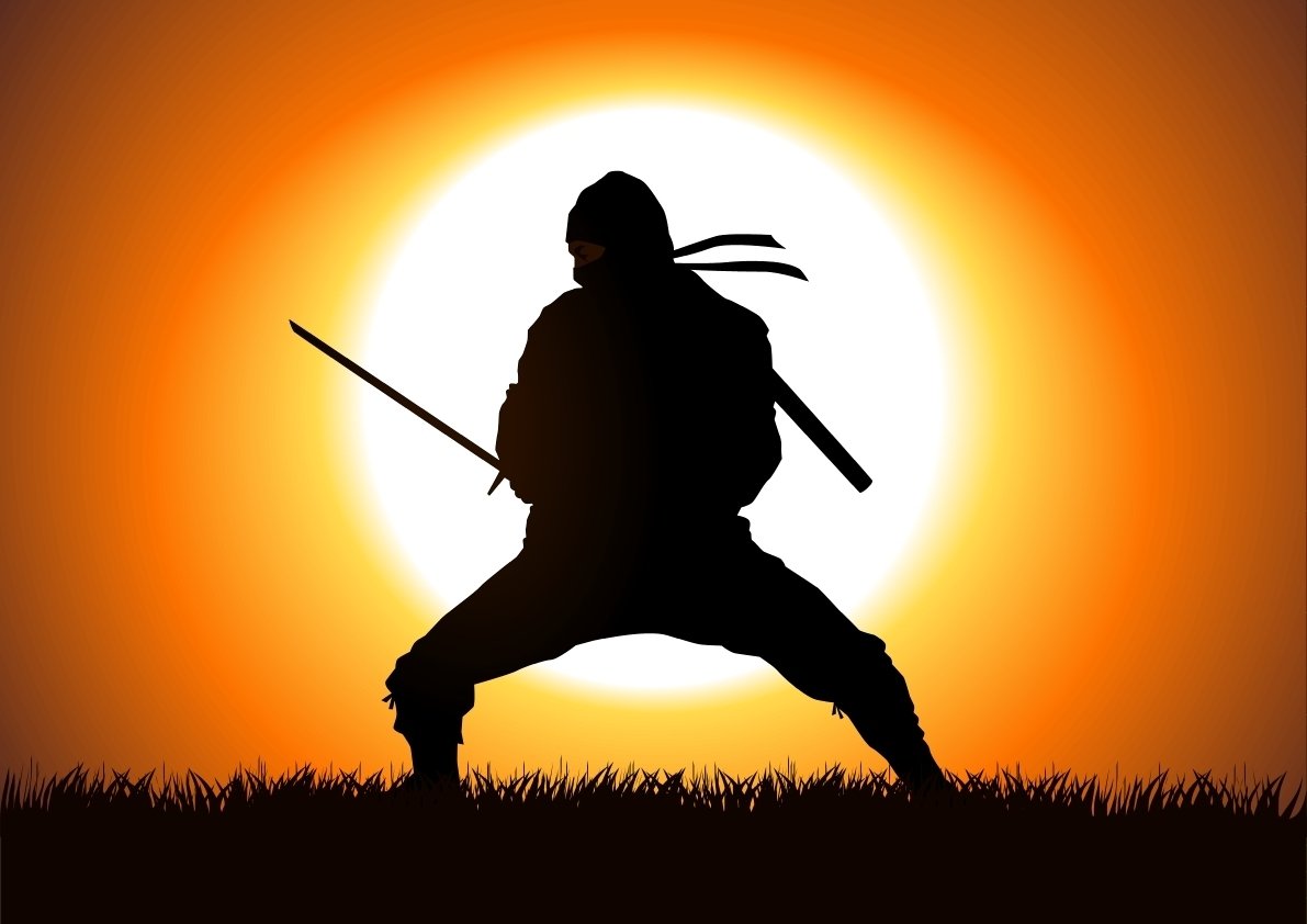 Ниндзя: воины-тени фильм 2012