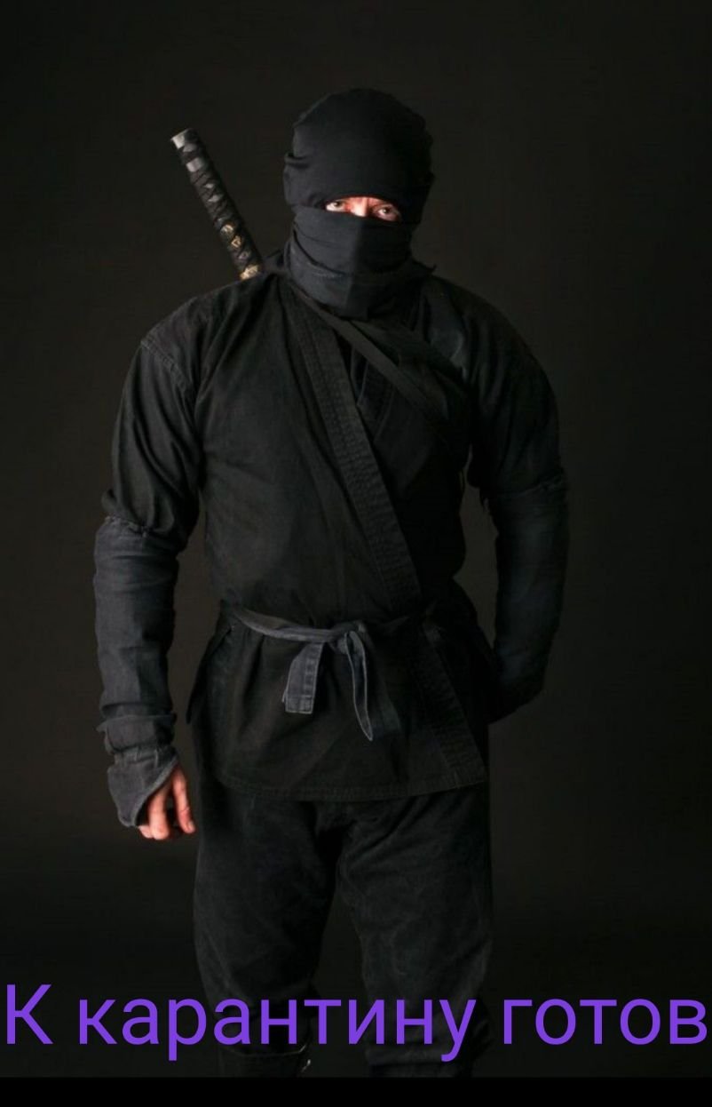 Синоби Хасигава