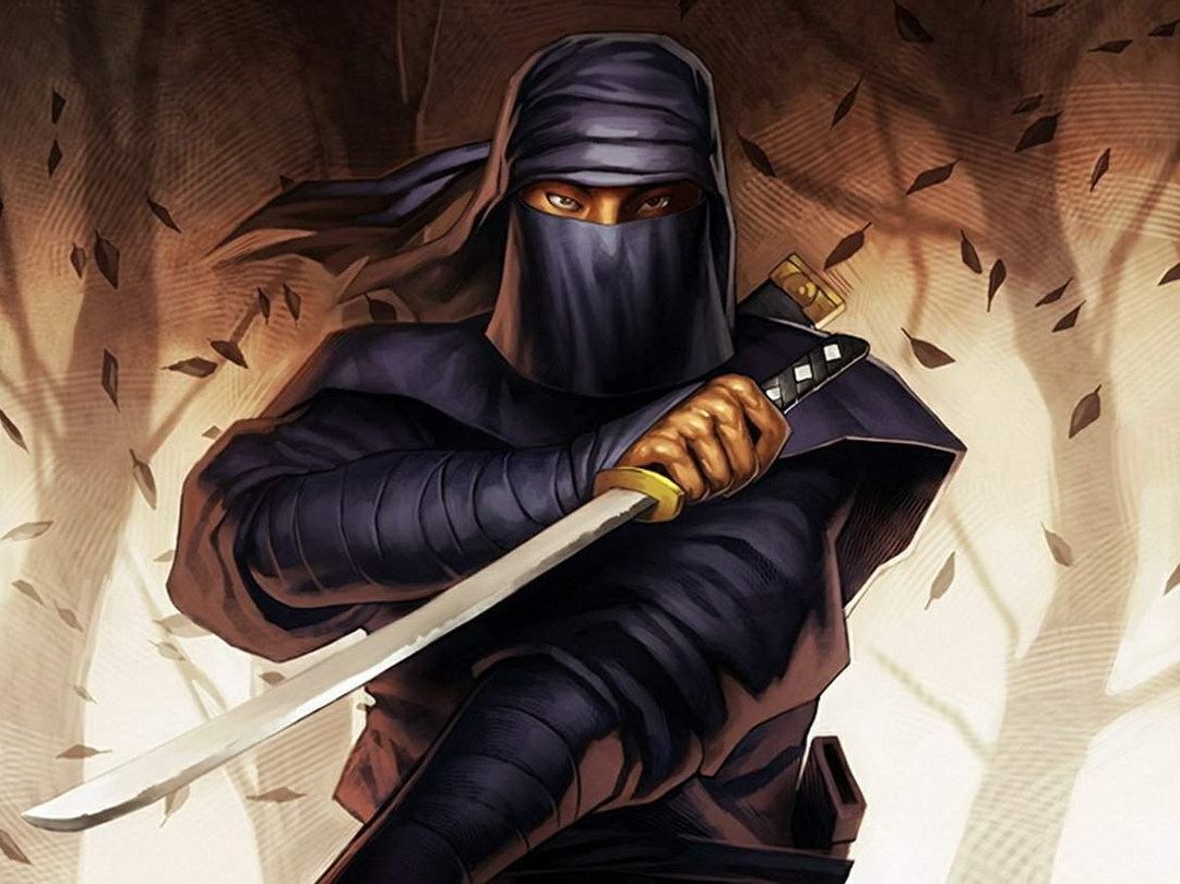 Воины тени ниндзя и ниндзюцу