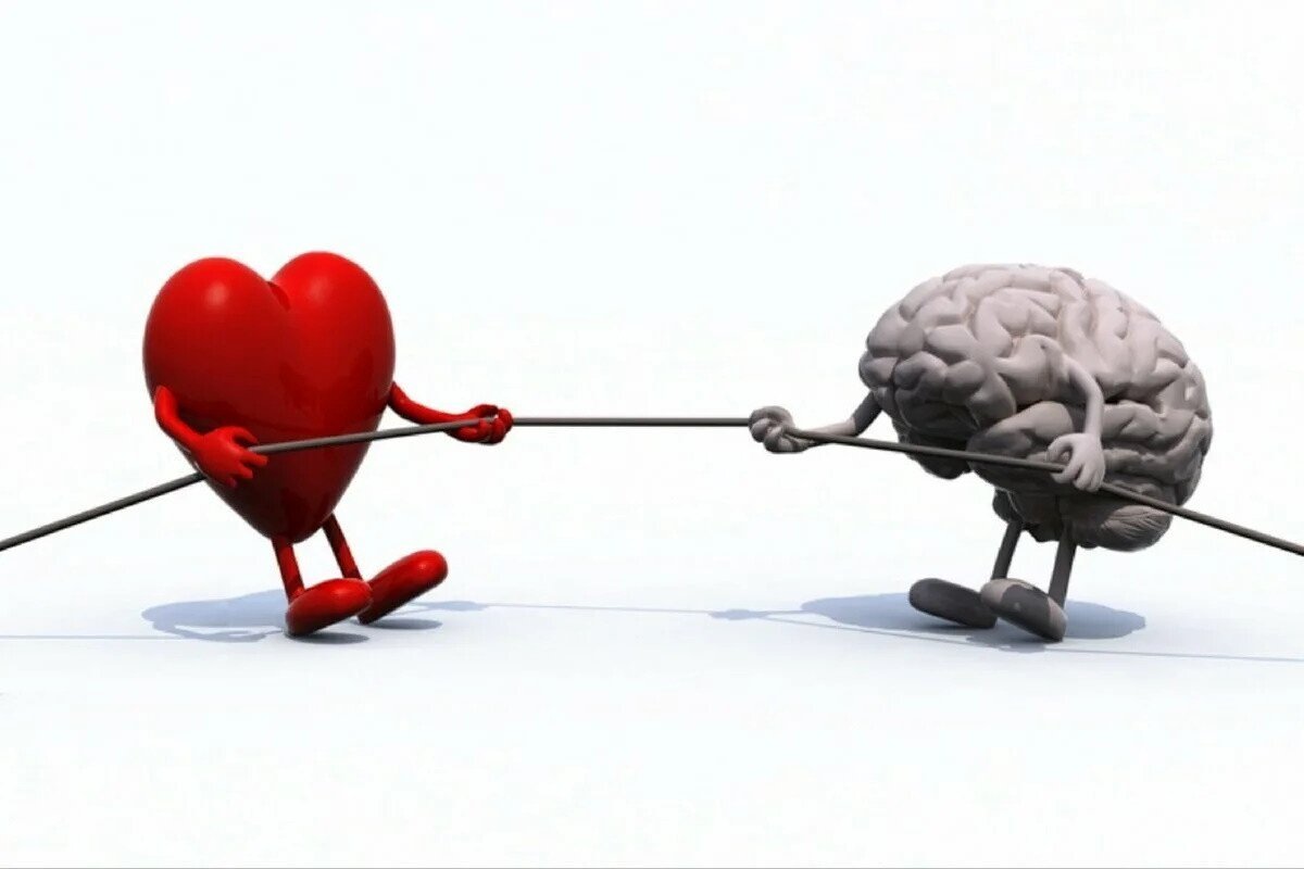 Мозг и сердце