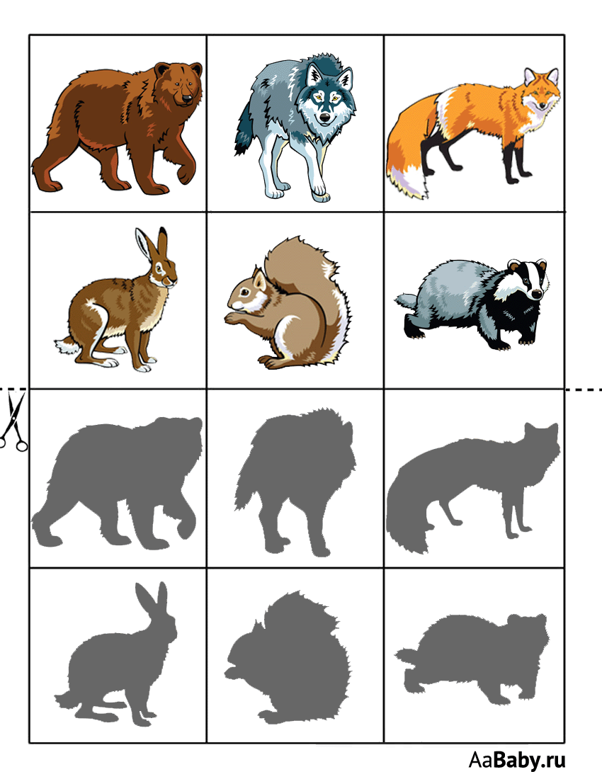 Тени диких животных