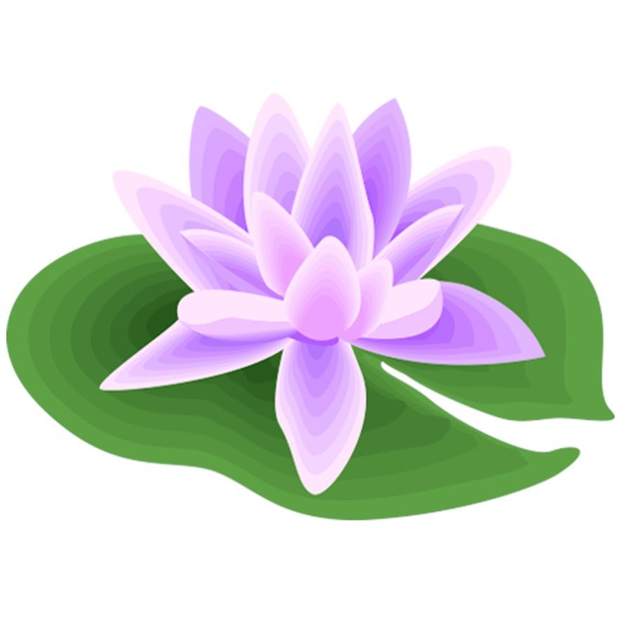 Кувшинка для детей