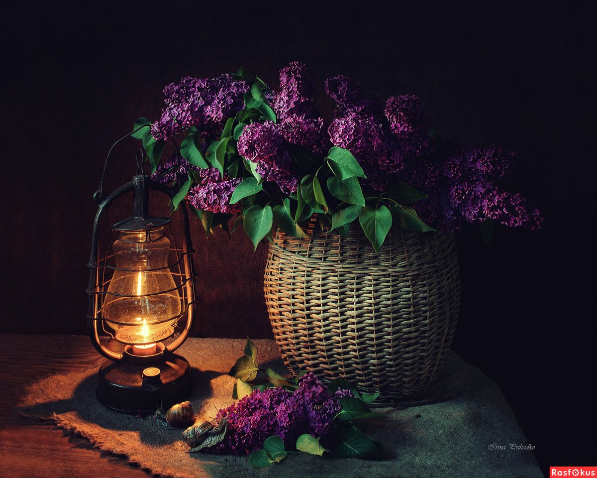 Цветы вечер