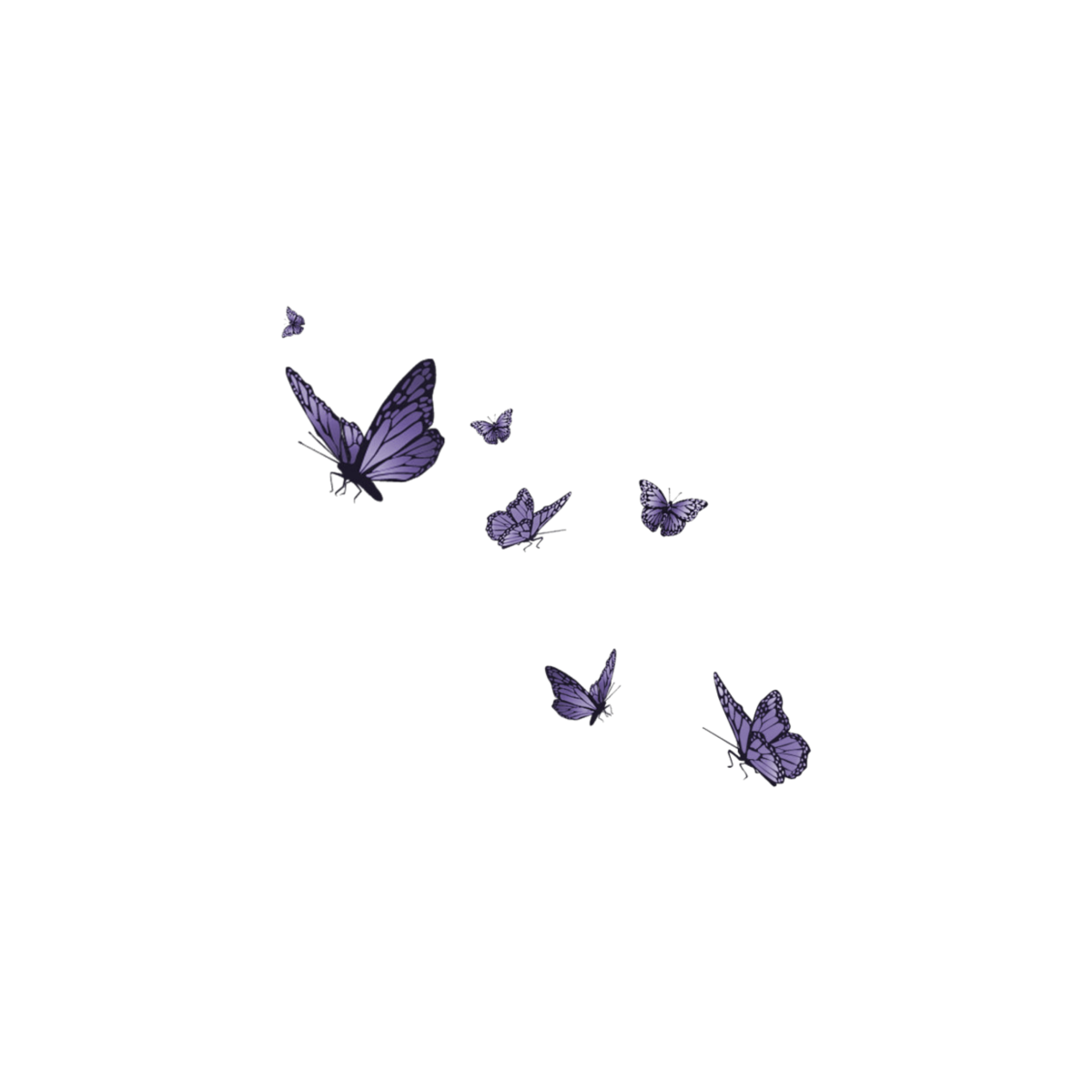 Анимация бабочки