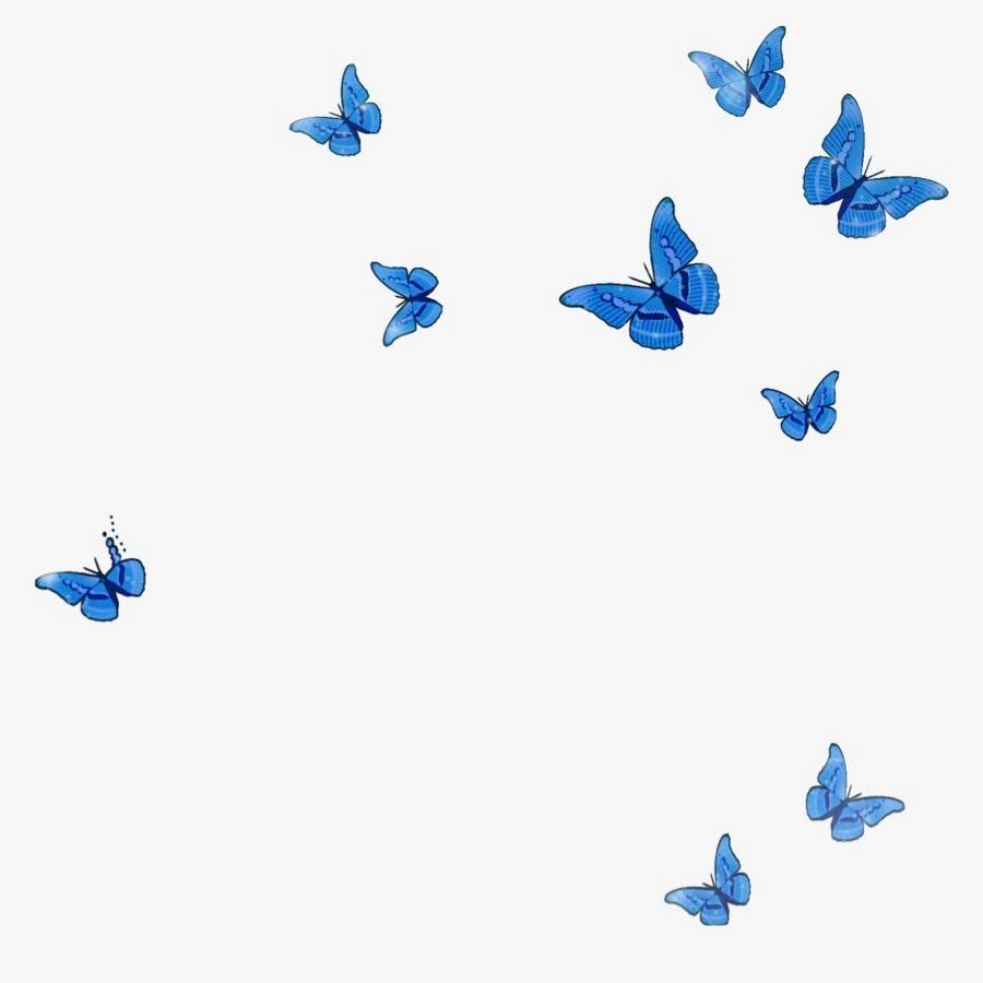 Голубая бабочка на прозрачном фоне
