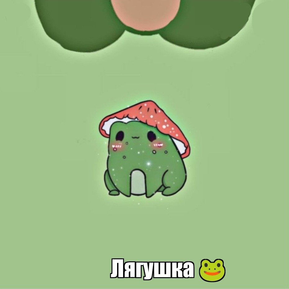 Футболка для РОБЛОКСА лягушка