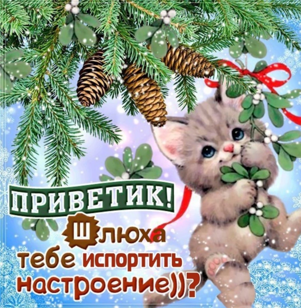 Зимний морозный приветик