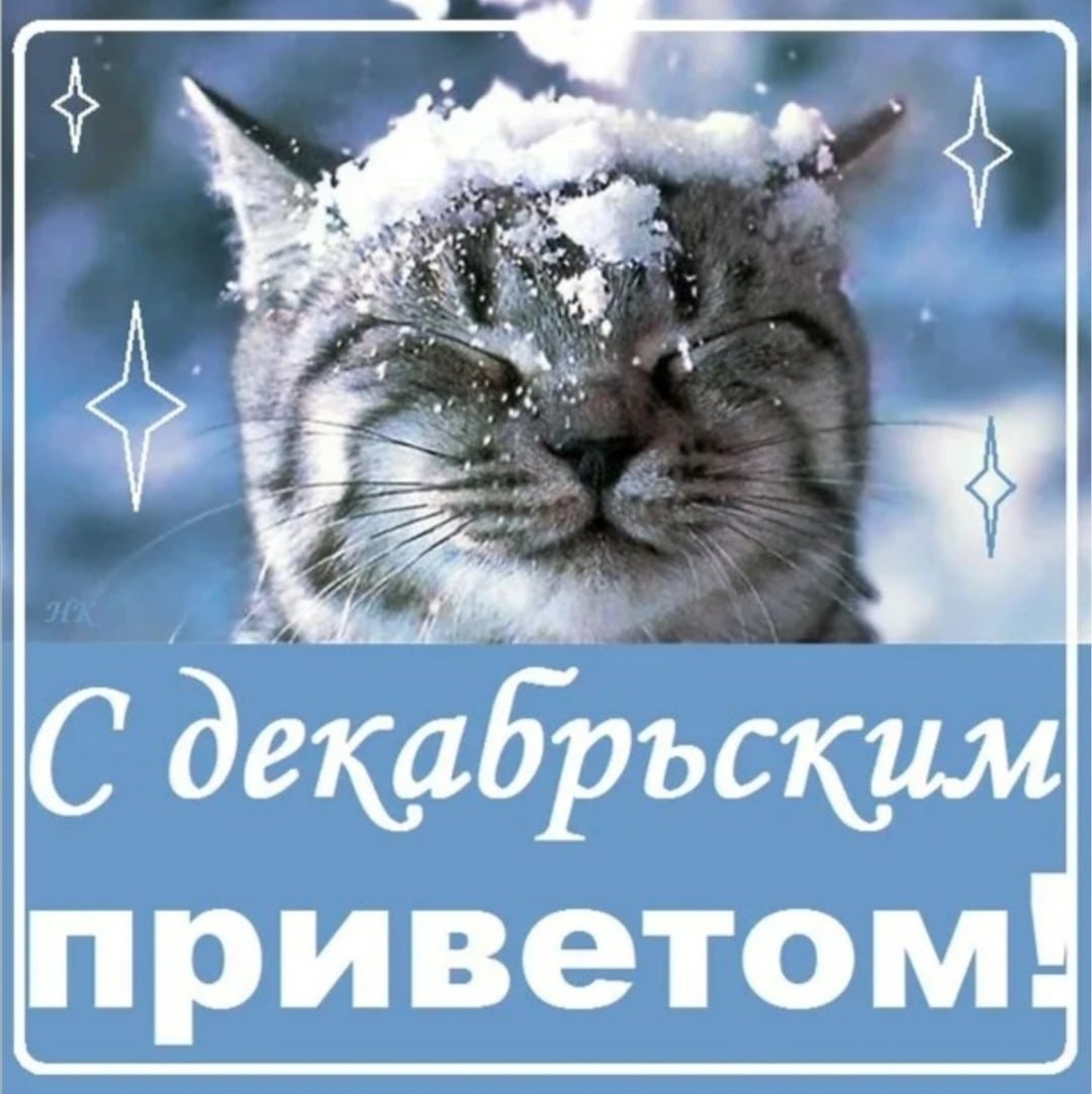 С новым зимним днем