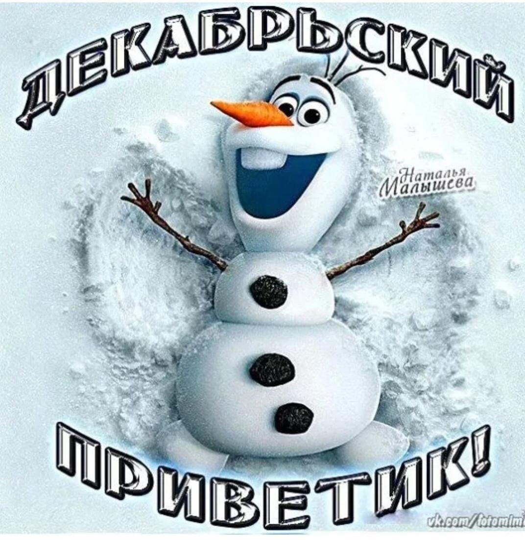 Цветы морозным утром