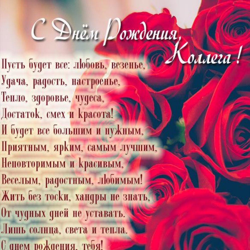 С днём рождения собачки