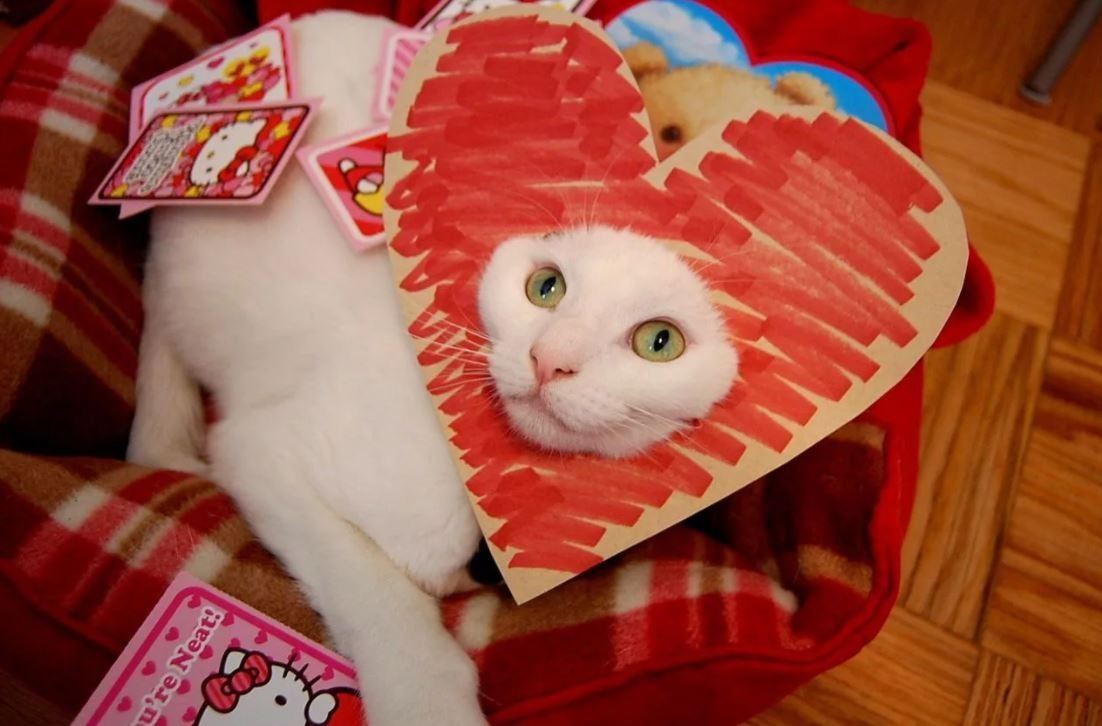 Сердечко для Святого Валентина