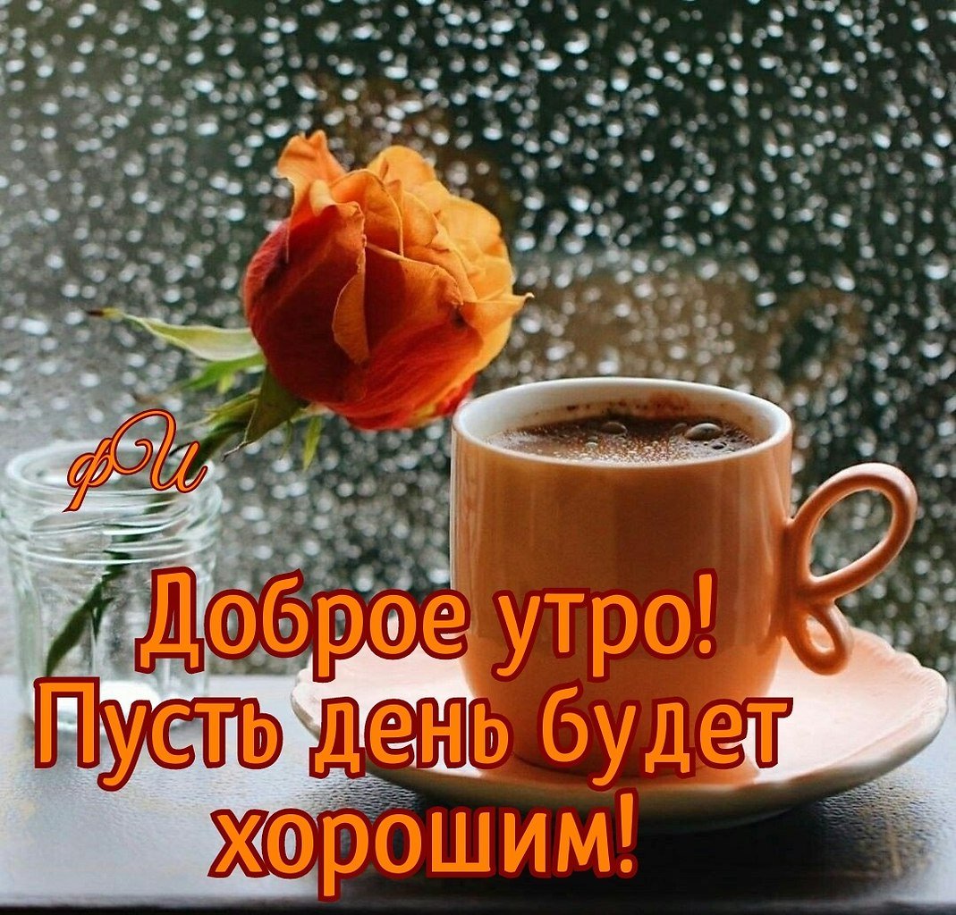 Доброго ноябрьского утра и хорошего дня с пожеланиями