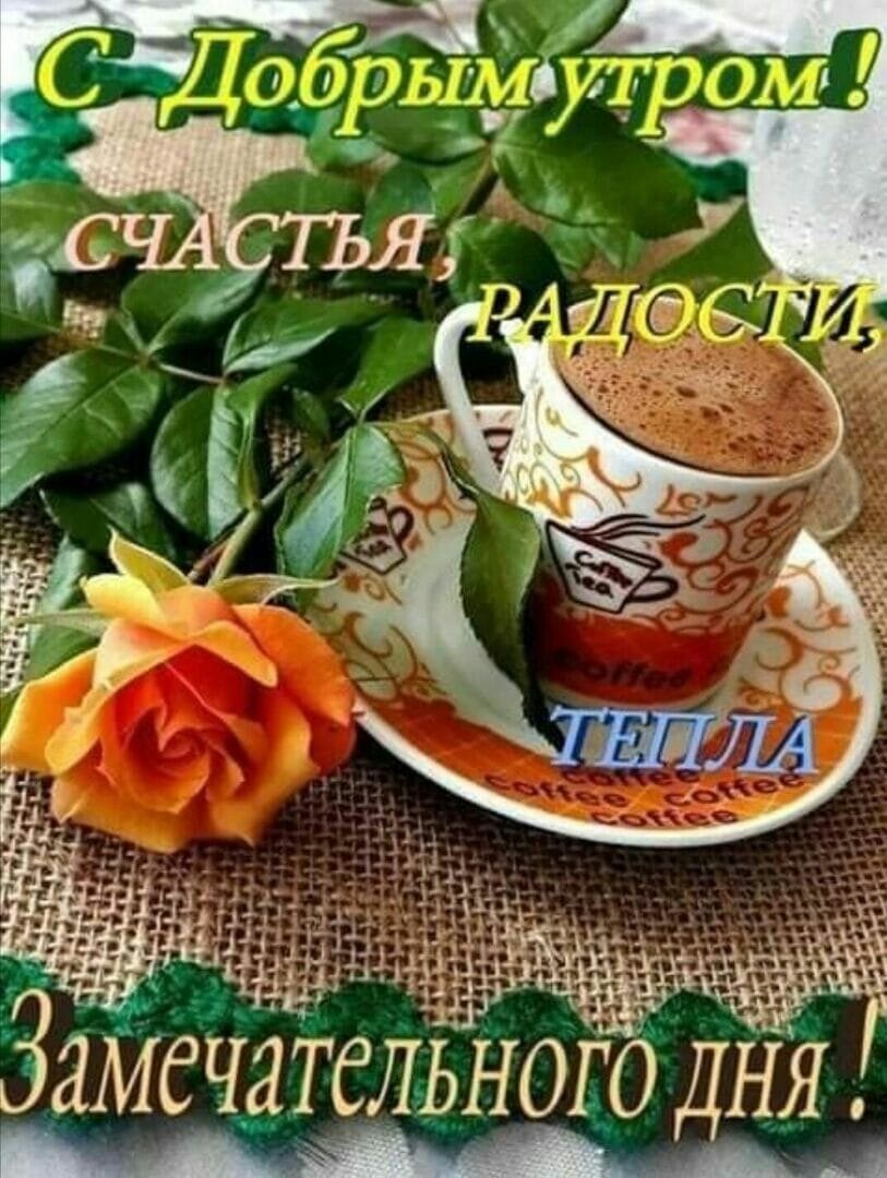 Утро счастье