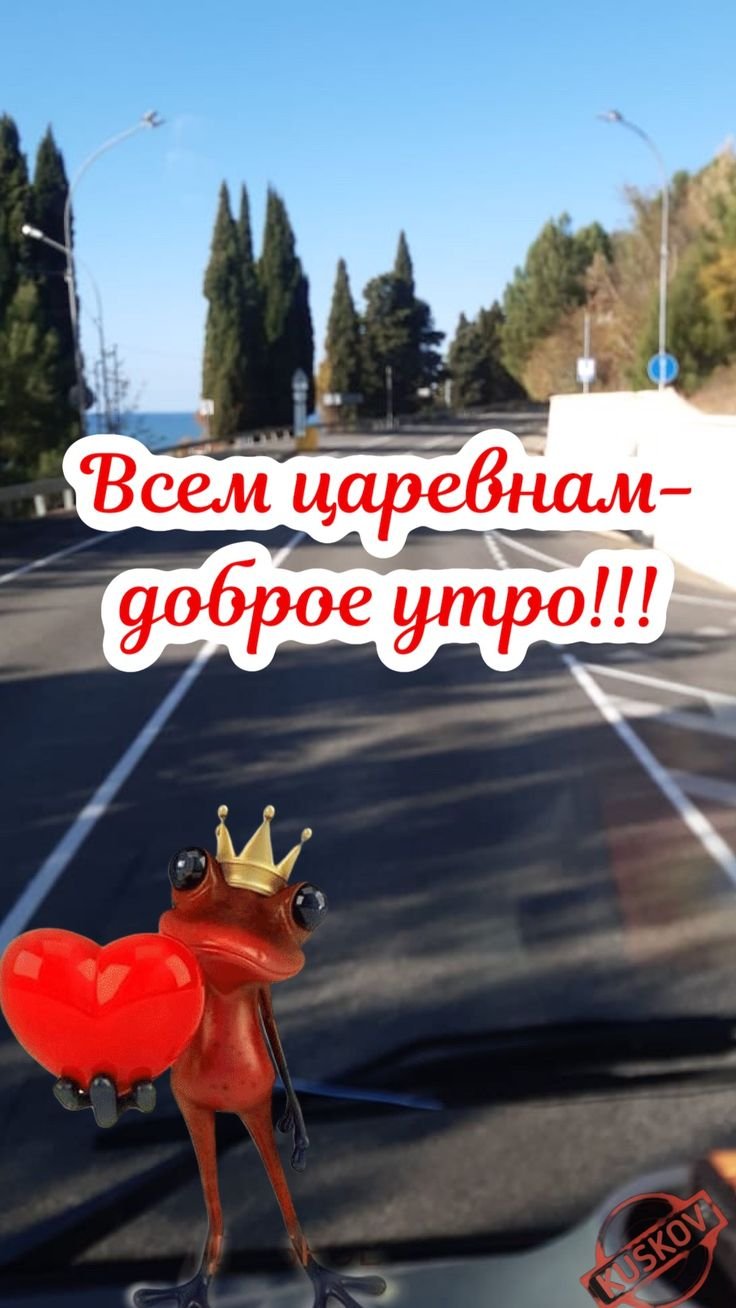 Доброе утро Царевна